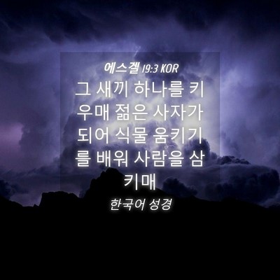 Picture 04 - 에스겔 19:3 KOR - 그 새끼 하나를 키우매 젊은 사자가 - Bible Verse Picture