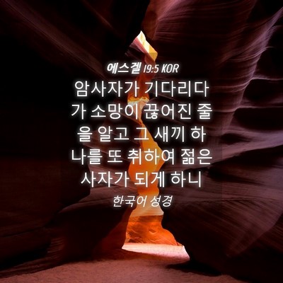 Picture 04 - 에스겔 19:5 KOR - 암사자가 기다리다가 소망이 끊어진 - Bible Verse Picture