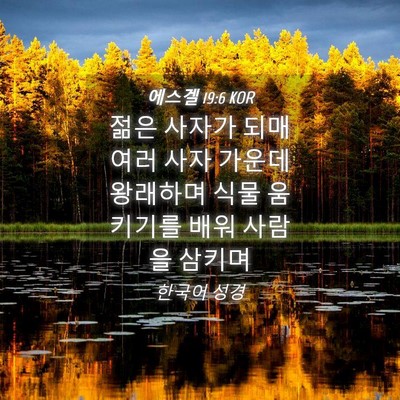 Picture 04 - 에스겔 19:6 KOR - 젊은 사자가 되매 여러 사자 가운데 - Bible Verse Picture