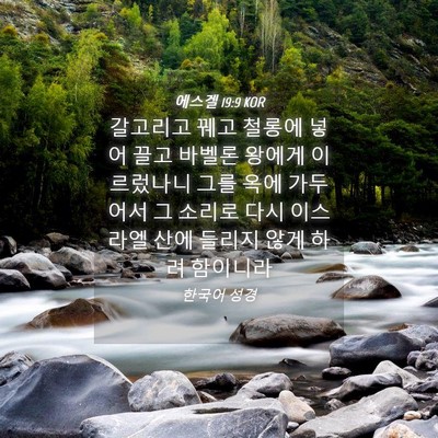 Picture 04 - 에스겔 19:9 KOR - 갈고리고 꿰고 철롱에 넣어 끌고 - Bible Verse Picture