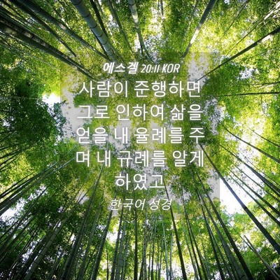 Picture 04 - 에스겔 20:11 KOR - 사람이 준행하면 그로 인하여 삶을 - Bible Verse Picture