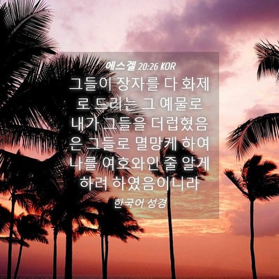 Picture 04 - 에스겔 20:26 KOR - 그들이 장자를 다 화제로 드리는 그 - Bible Verse Picture