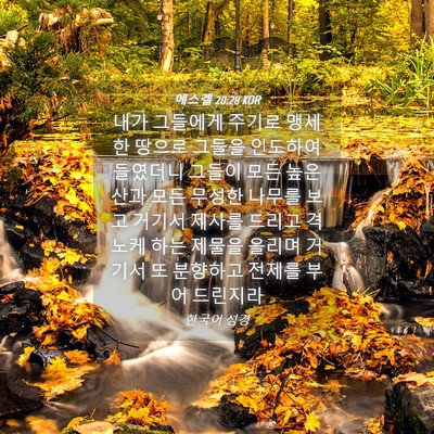 Picture 04 - 에스겔 20:28 KOR - 내가 그들에게 주기로 맹세한 땅으로 - Bible Verse Picture