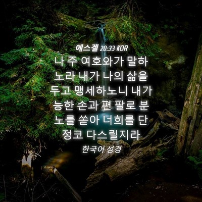 Picture 04 - 에스겔 20:33 KOR - 나 주 여호와가 말하노라 내가 나의 - Bible Verse Picture