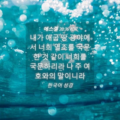 Picture 04 - 에스겔 20:36 KOR - 내가 애굽 땅 광야에서 너희 열조를 - Bible Verse Picture