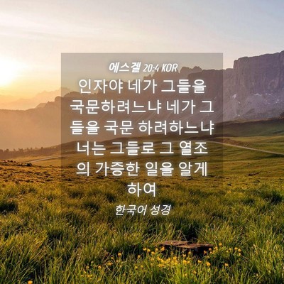 Picture 04 - 에스겔 20:4 KOR - 인자야 네가 그들을 국문하려느냐 - Bible Verse Picture