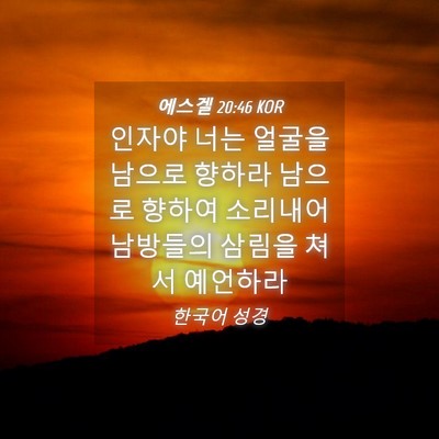 Picture 04 - 에스겔 20:46 KOR - 인자야 너는 얼굴을 남으로 향하라 - Bible Verse Picture