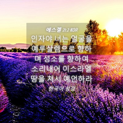 Picture 04 - 에스겔 21:2 KOR - 인자야 너는 얼굴을 예루살렘으로 - Bible Verse Picture