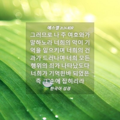 Picture 04 - 에스겔 21:24 KOR - 그러므로 나 주 여호와가 말하노라 - Bible Verse Picture