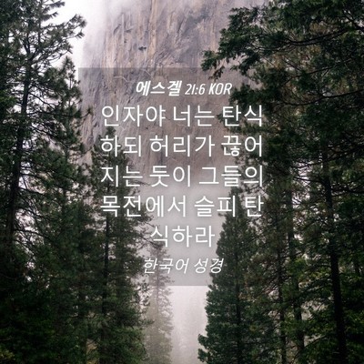 Picture 04 - 에스겔 21:6 KOR - 인자야 너는 탄식하되 허리가 - Bible Verse Picture