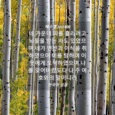 Picture 04 - 에스겔 22:12 KOR - 네 가운데 피를 흘리려고 뇌물을 - Bible Verse Picture