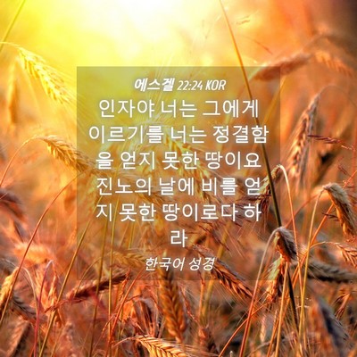 Picture 04 - 에스겔 22:24 KOR - 인자야 너는 그에게 이르기를 너는 - Bible Verse Picture