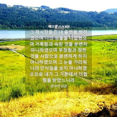 Picture 04 - 에스겔 22:26 KOR - 그 제사장들은 내 율법을 범하였으며 - Bible Verse Picture