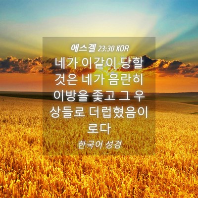 Picture 04 - 에스겔 23:30 KOR - 네가 이같이 당할 것은 네가 음란히 - Bible Verse Picture