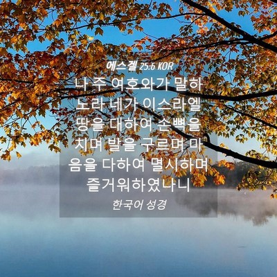 Picture 04 - 에스겔 25:6 KOR - 나 주 여호와가 말하노라 네가 - Bible Verse Picture