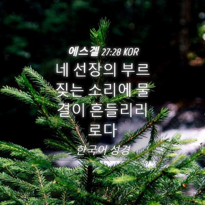 Picture 04 - 에스겔 27:28 KOR - 네 선장의 부르짖는 소리에 물결이 - Bible Verse Picture