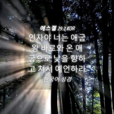 Picture 04 - 에스겔 29:2 KOR - 인자야 너는 애굽 왕 바로와 온 - Bible Verse Picture
