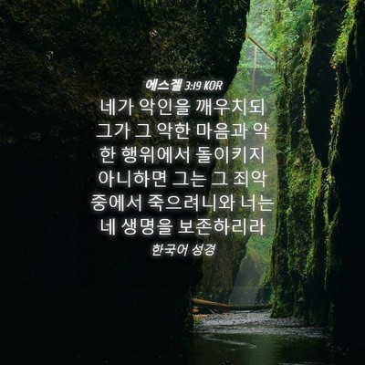 Picture 04 - 에스겔 3:19 KOR - 네가 악인을 깨우치되 그가 그 악한 - Bible Verse Picture