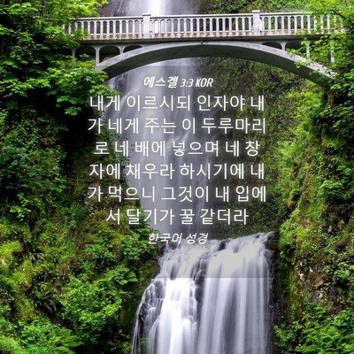 Picture 04 - 에스겔 3:3 KOR - 내게 이르시되 인자야 내가 네게 - Bible Verse Picture