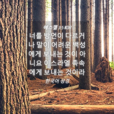 Picture 04 - 에스겔 3:5 KOR - 너를 방언이 다르거나 말이 어려운 - Bible Verse Picture