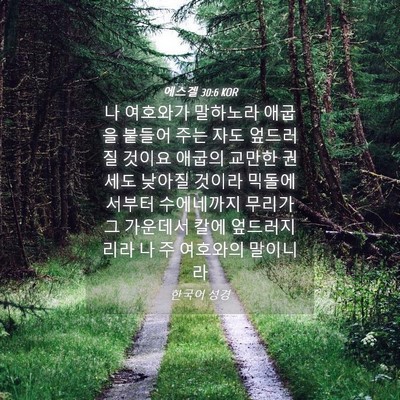 Picture 04 - 에스겔 30:6 KOR - 나 여호와가 말하노라 애굽을 붙들어 - Bible Verse Picture