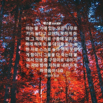 Picture 04 - 에스겔 31:14 KOR - 이는 물 가에 있는 모든 나무로 키가 - Bible Verse Picture