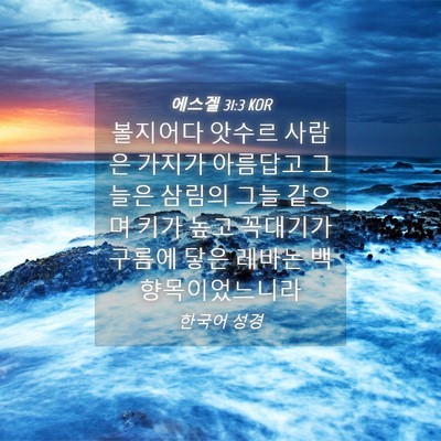 Picture 04 - 에스겔 31:3 KOR - 볼지어다 앗수르 사람은 가지가 - Bible Verse Picture