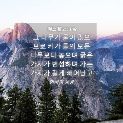 Picture 04 - 에스겔 31:5 KOR - 그 나무가 물이 많으므로 키가 들의 - Bible Verse Picture