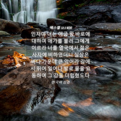 Picture 04 - 에스겔 32:2 KOR - 인자야 너는 애굽 왕 바로에 대하여 - Bible Verse Picture