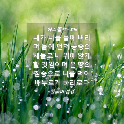 Picture 04 - 에스겔 32:4 KOR - 내가 너를 뭍에 버리며 들에 던져 - Bible Verse Picture