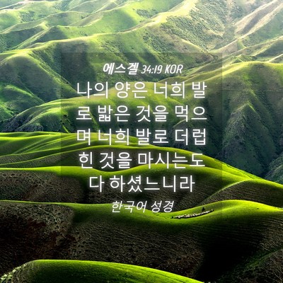 Picture 04 - 에스겔 34:19 KOR - 나의 양은 너희 발로 밟은 것을 - Bible Verse Picture