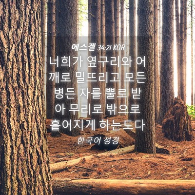 Picture 04 - 에스겔 34:21 KOR - 너희가 옆구리와 어깨로 밀뜨리고 - Bible Verse Picture