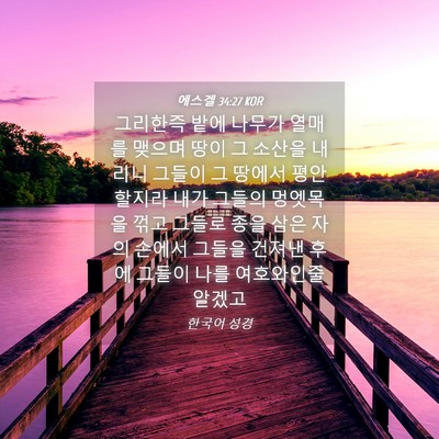 Picture 04 - 에스겔 34:27 KOR - 그리한즉 밭에 나무가 열매를 맺으며 - Bible Verse Picture