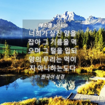 Picture 04 - 에스겔 34:3 KOR - 너희가 살진 양을 잡아 그 기름을 - Bible Verse Picture