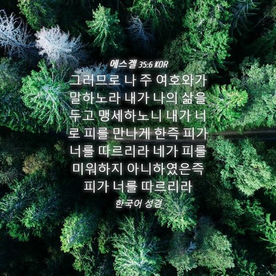 Picture 04 - 에스겔 35:6 KOR - 그러므로 나 주 여호와가 말하노라 - Bible Verse Picture