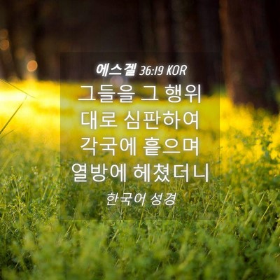Picture 04 - 에스겔 36:19 KOR - 그들을 그 행위대로 심판하여 각국에 - Bible Verse Picture
