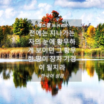 Picture 04 - 에스겔 36:34 KOR - 전에는 지나가는 자의 눈에 황무하게 - Bible Verse Picture