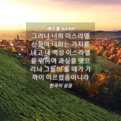 Picture 04 - 에스겔 36:8 KOR - 그러나 너희 이스라엘 산들아 너희는 - Bible Verse Picture