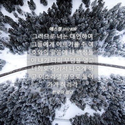 Picture 04 - 에스겔 37:12 KOR - 그러므로 너는 대언하여 그들에게 - Bible Verse Picture