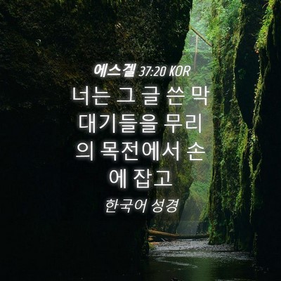 Picture 04 - 에스겔 37:20 KOR - 너는 그 글 쓴 막대기들을 무리의 - Bible Verse Picture