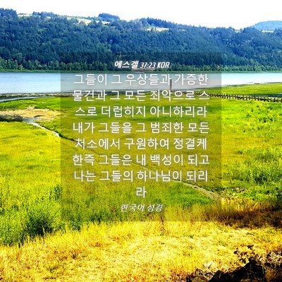 Picture 04 - 에스겔 37:23 KOR - 그들이 그 우상들과 가증한 물건과 - Bible Verse Picture