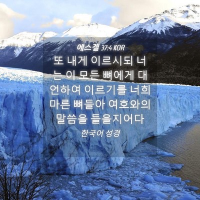Picture 04 - 에스겔 37:4 KOR - 또 내게 이르시되 너는 이 모든 - Bible Verse Picture