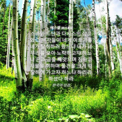 Picture 04 - 에스겔 38:13 KOR - 스바와 드단과 다시스의 상고와 그 - Bible Verse Picture