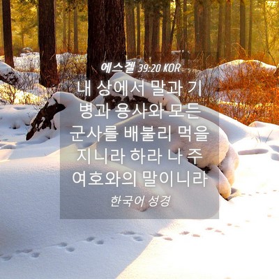 Picture 04 - 에스겔 39:20 KOR - 내 상에서 말과 기병과 용사와 모든 - Bible Verse Picture