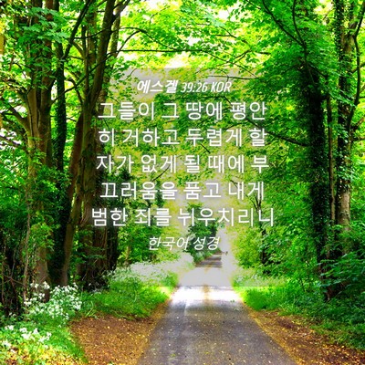 Picture 04 - 에스겔 39:26 KOR - 그들이 그 땅에 평안히 거하고 - Bible Verse Picture