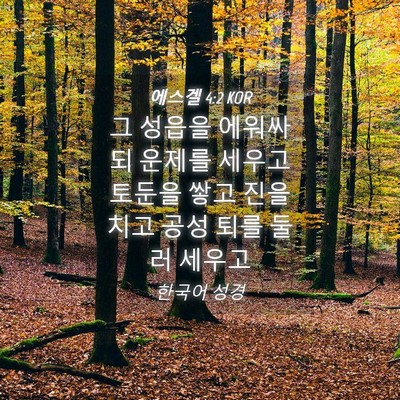Picture 04 - 에스겔 4:2 KOR - 그 성읍을 에워싸되 운제를 세우고 - Bible Verse Picture