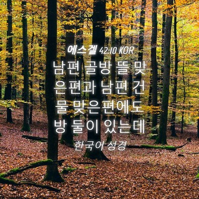 Picture 04 - 에스겔 42:10 KOR - 남편 골방 뜰 맞은편과 남편 건물 - Bible Verse Picture