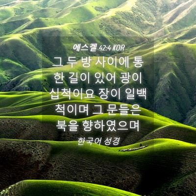 Picture 04 - 에스겔 42:4 KOR - 그 두 방 사이에 통한 길이 있어 광이 - Bible Verse Picture