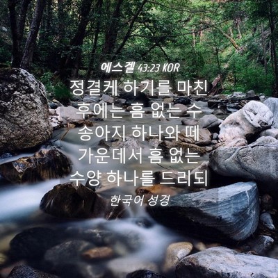 Picture 04 - 에스겔 43:23 KOR - 정결케 하기를 마친 후에는 흠 없는 - Bible Verse Picture