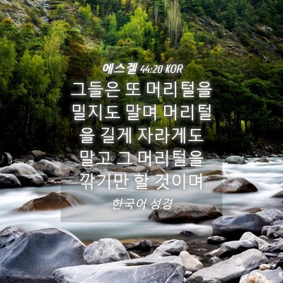 Picture 04 - 에스겔 44:20 KOR - 그들은 또 머리털을 밀지도 말며 - Bible Verse Picture